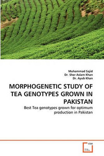 Morphogenetic Study of Tea Genotypes Grown in Pakistan