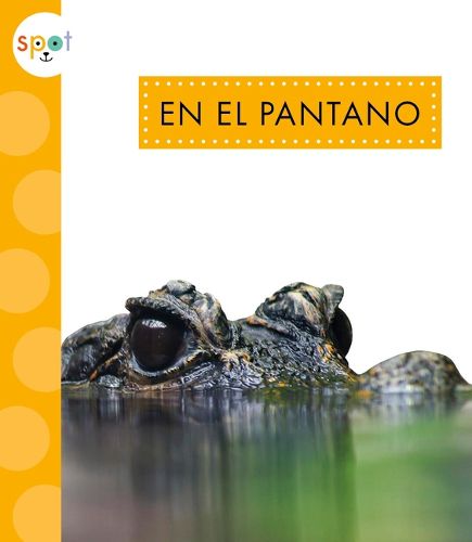 Cover image for En El Pantano