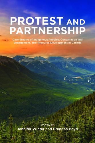 Cover image for Protest and Partnership