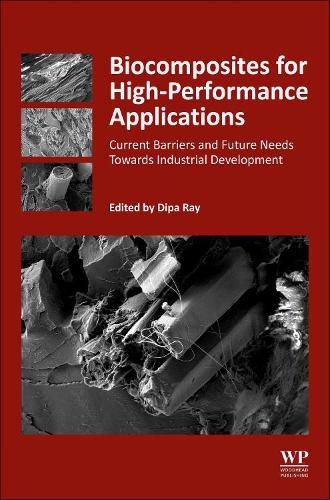 Cover image for Biocomposites for High-Performance Applications: Current Barriers and Future Needs Towards Industrial Development