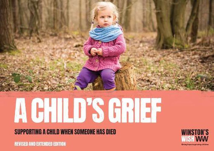 Cover image for A Child's Grief: Supporting a child when someone has died