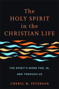 Cover image for Holy Spirit in the Christian Life