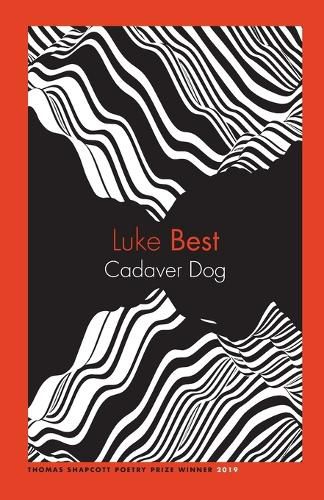 Cover image for Cadaver Dog