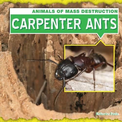 Cover image for Carpenter Ants