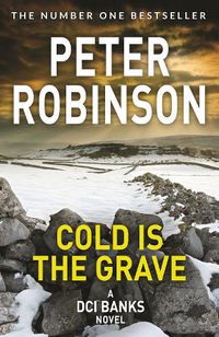 Cover image for Cold is the Grave