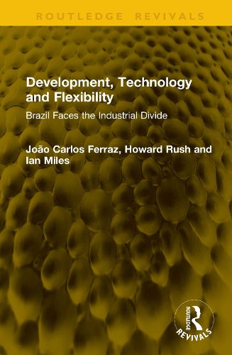 Cover image for Development, Technology and Flexibility