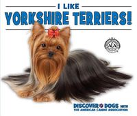 Cover image for I Like Yorkshire Terriers!