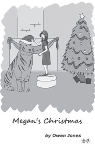 Cover image for Megan`s Christmas