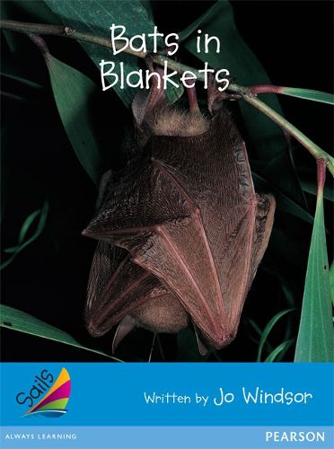 Cover image for Sails Early Blue Set 2: Bats in Blankets