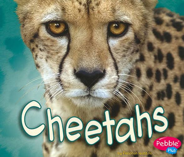 Cover image for Cheetahs