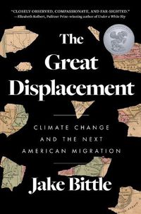 Cover image for The Great Displacement