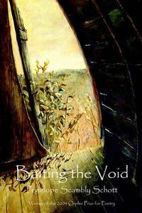 Cover image for Baiting the Void