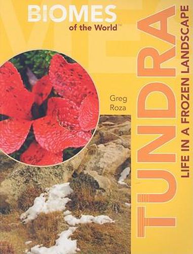 Cover image for Tundra: Life in a Frozen Landscape