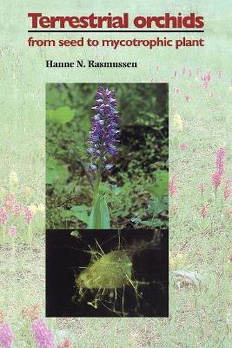 Cover image for Terrestrial Orchids: From Seed to Mycotrophic Plant