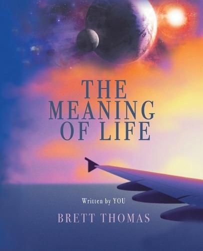 Cover image for The Meaning of Life