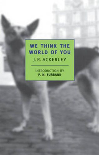 Cover image for We Think The World Of You