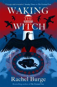 Cover image for Waking the Witch