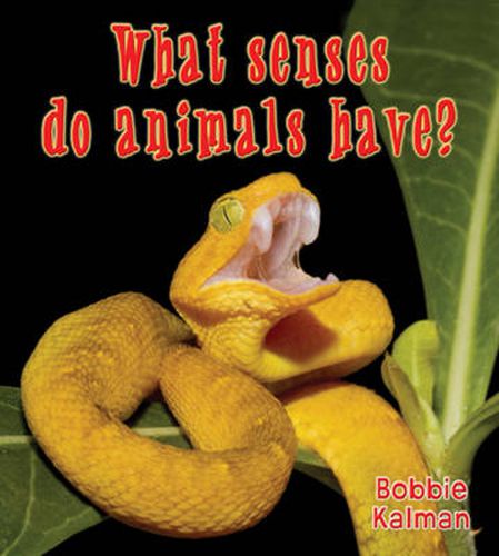 Cover image for What Senses Do Animals Have