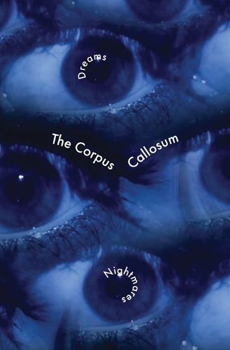 Cover image for The Corpus Callosum 3.1