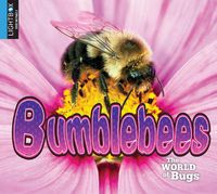 Cover image for Bumblebees