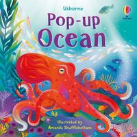 Cover image for Pop-up Ocean