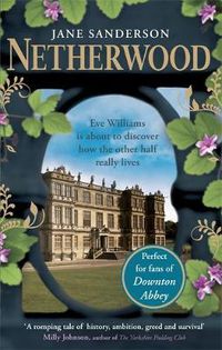 Cover image for Netherwood