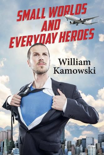 Cover image for Small Worlds and Everyday Heroes