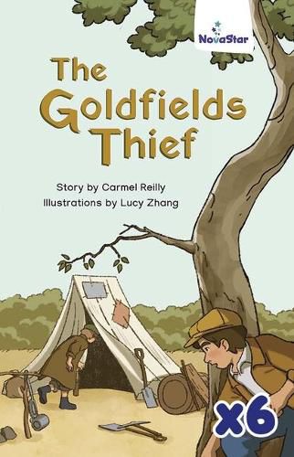 The Goldfields Thief x 6