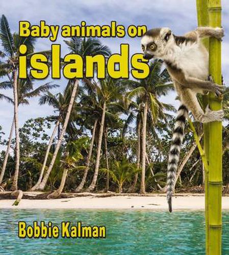 Cover image for Baby Animals on Islands