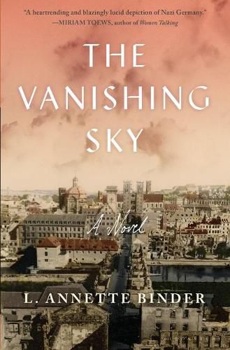 Cover image for The Vanishing Sky