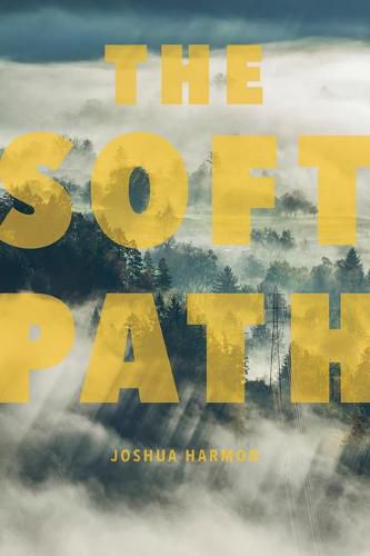 Cover image for The Soft Path