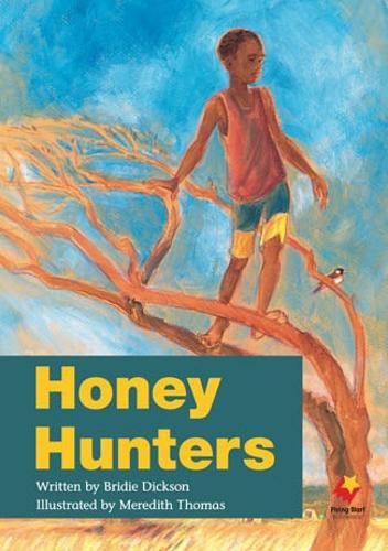 Cover image for Honey Hunters