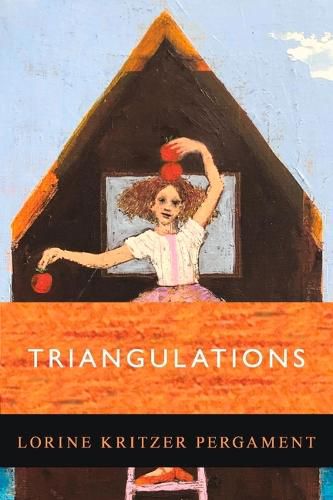 Cover image for Triangulations