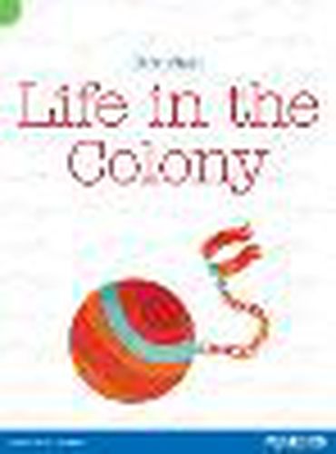 Cover image for Discovering History  First Fleet: Life in the Colony (Reading Level 25/F&P Level P)