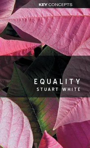 Cover image for Equality