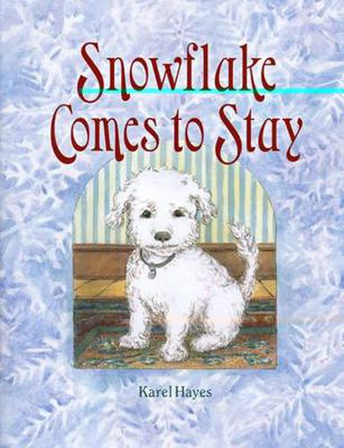 Cover image for Snowflake Comes to Stay