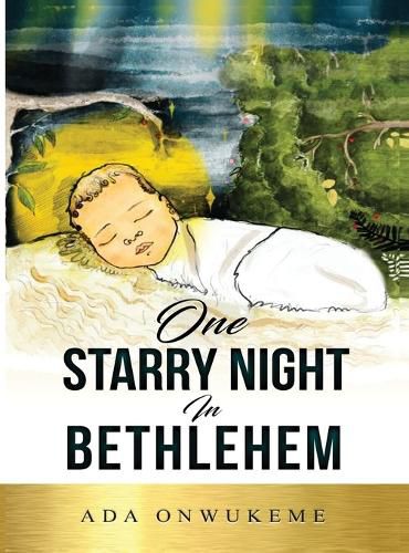 Cover image for One Starry Night In Bethlehem!