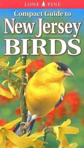 Cover image for Compact Guide to New Jersey Birds