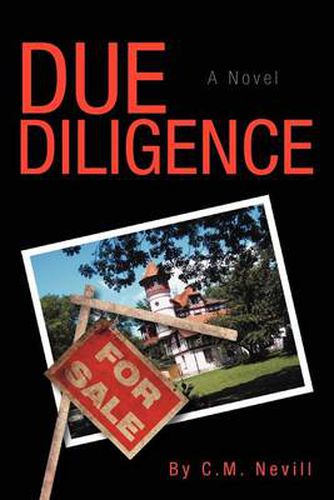 Cover image for Due Diligence