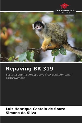 Cover image for Repaving BR 319