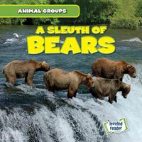 Cover image for A Sleuth of Bears