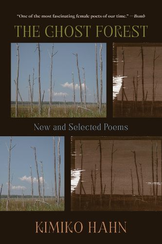 Cover image for The Ghost Forest