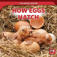 Cover image for How Eggs Hatch