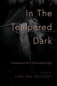 Cover image for In the Tempered Dark