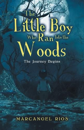 Cover image for The Little Boy Who Ran into the Woods
