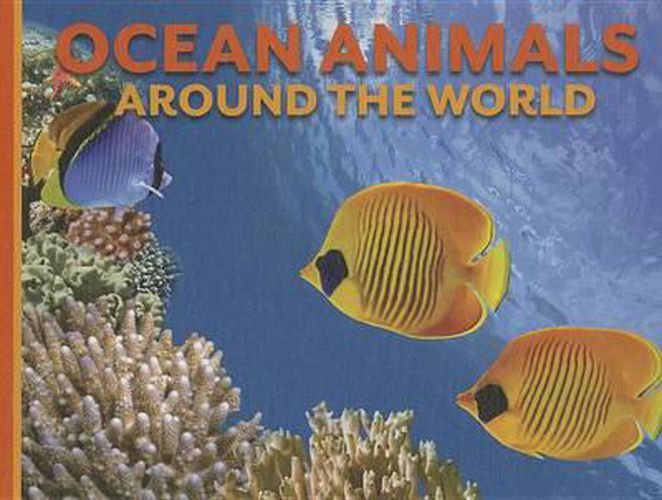 Cover image for Ocean Animals Around the World