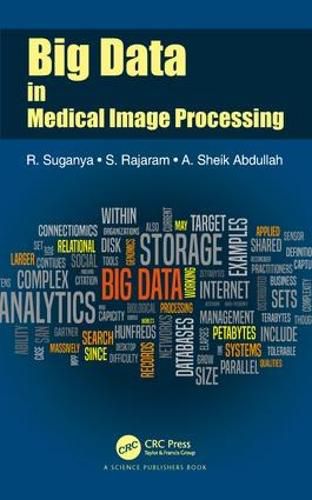 Cover image for Big Data in Medical Image Processing