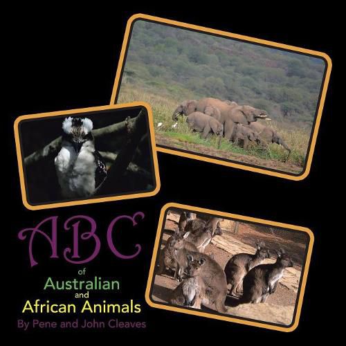 Cover image for Abc of Australian and African Animals