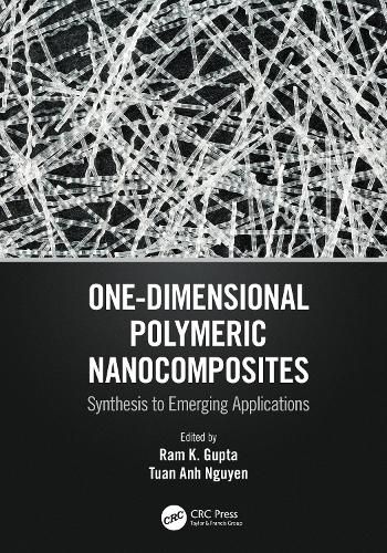 Cover image for One-Dimensional Polymeric Nanocomposites