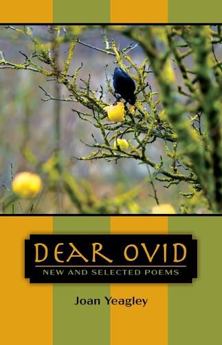 Cover image for Dear Ovid
